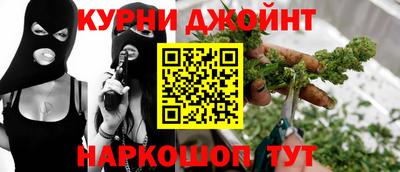 прущие крисы Гатчина