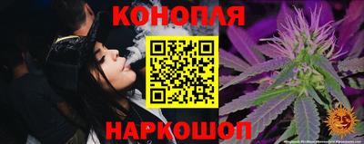 прущие крисы Гатчина