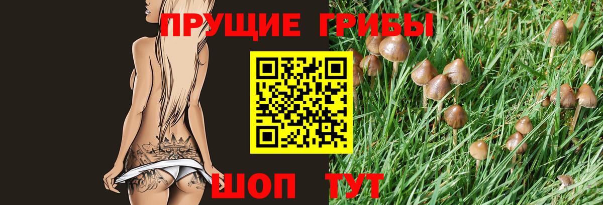 купить   Вход с VPN  Муравленко  Галлюциногенные грибы MAGIC MUSHROOMS 