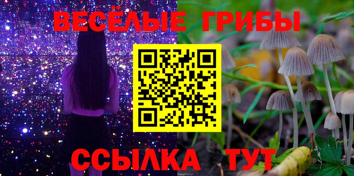 Псилоцибиновые грибы ЛСД Муравленко